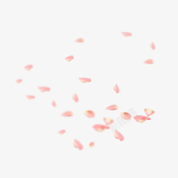 粉红花朵漂萝装饰素材