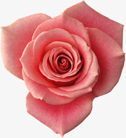 粉色分层创意花朵玫瑰素材