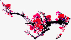 红色冬季梅花树枝素材