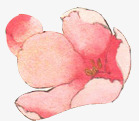 彩绘粉红桃花装饰素材