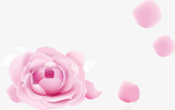 创意合成粉红色的玫瑰花合成素材