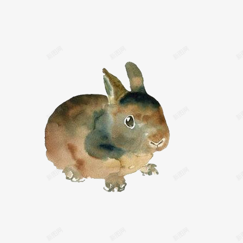 卡通可爱动物海报装饰兔子png免抠素材_88icon https://88icon.com 兔子 动物可爱 卡通动物 手绘动物文艺风 萌萌哒的小动物 装饰卡通