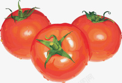 手绘三个西红柿素材