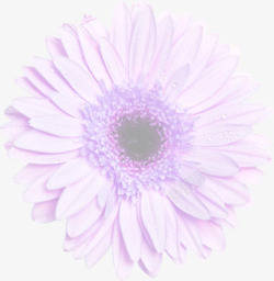 紫色梦幻花朵水珠素材