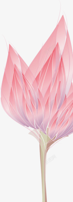 合成创意花卉花瓣粉红色素材