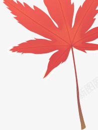 火红的枫叶png免抠素材_88icon https://88icon.com 一片叶子 枫叶 火红