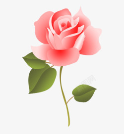 手绘粉色分层玫瑰花朵素材