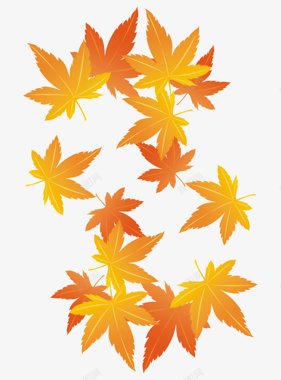 黄色金秋枫叶png免抠素材_88icon https://88icon.com 叶子 枫叶 金秋