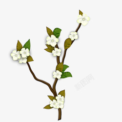 白花白色花朵梅花素材