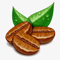 咖啡豆和带水珠的绿叶素材
