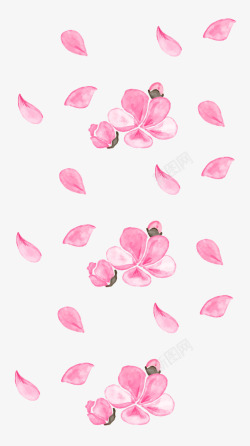 清新的粉红色花瓣图素材
