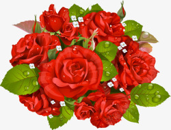 带水珠的红色玫瑰花束素材