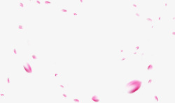 粉红色花瓣创意素材