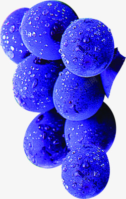 蓝色带水滴蓝莓水果素材