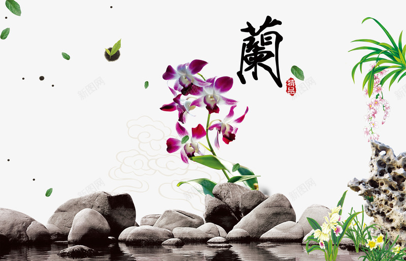 兰花背景图png免抠素材_88icon https://88icon.com 优雅 兰花 石头