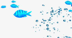 夏日海报海中蓝色小鱼水珠素材