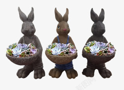小兔子装饰多肉盆栽素材