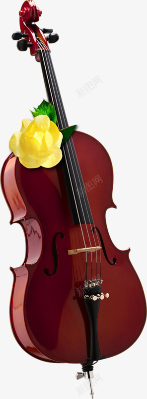 大提琴乐器png免抠素材_88icon https://88icon.com 乐器 大提琴 音乐 黄花