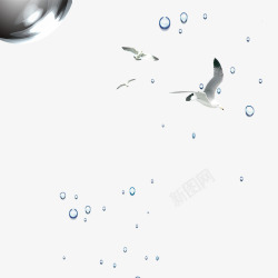 飞舞海鸥蓝色水滴高清图片