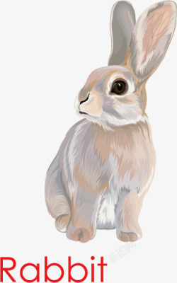 长耳朵兔子矢量图素材