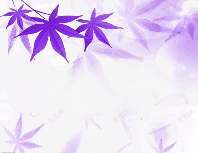 紫色的枫叶片png免抠素材_88icon https://88icon.com 叶子图片 唯美背景图片 简单的图片 装饰图片叶子