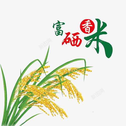 富硒香米png免抠素材_88icon https://88icon.com 字体 富硒 稻谷 香米