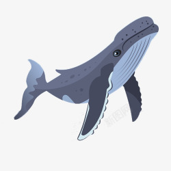卡通一只可爱的蓝色座头鲸海洋生素材