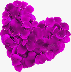 紫色水珠花瓣爱心素材