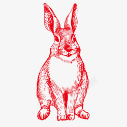 可爱兔子线描手绘矢量图素材
