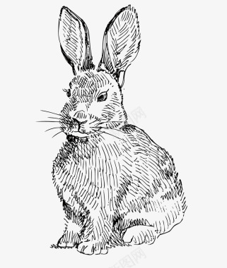 兔子免抠素材大胖LOGO可爱兔子手绘素描矢矢量图图标图标