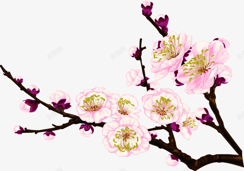生长在枝头的粉红色花蕾png免抠素材_88icon https://88icon.com 枝头 生长 粉红色 花蕾