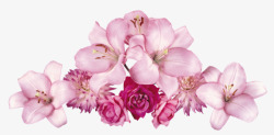 粉红花朵花瓣花蕊装饰素材