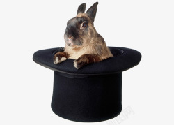 魔术帽兔子素材