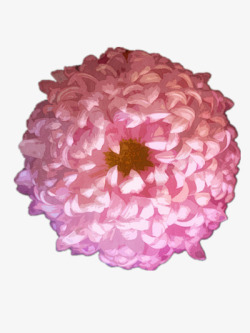 一朵大粉红色花朵素材