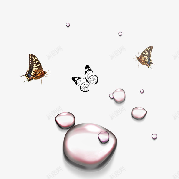 蝴蝶水珠png免抠素材_88icon https://88icon.com 棕色 水珠 蝴蝶 透明 黄色 黑色