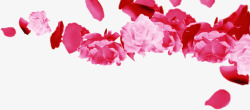 中秋节粉红色花朵花瓣素材