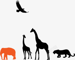 非洲特点非洲动物群矢量图高清图片