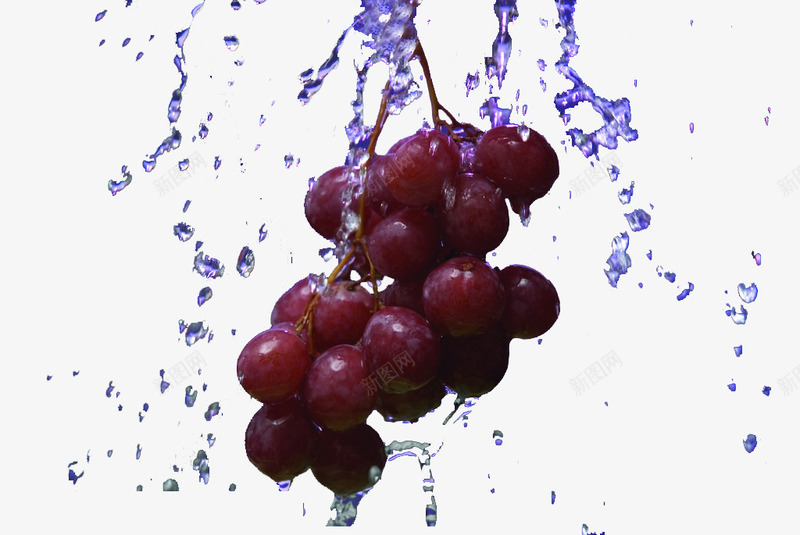 向下撒水滴葡萄png免抠素材_88icon https://88icon.com 水滴 甜的 紫色 葡萄