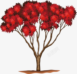 美丽的红色枫树矢量图素材