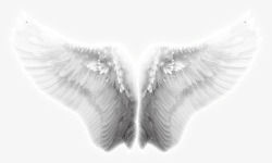 翅膀天使的翅膀淘宝翅素材