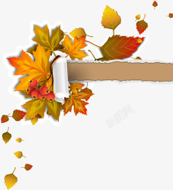 撕纸秋天叶子边框枫叶矢量图素材