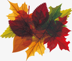 秋天树叶标题框素材