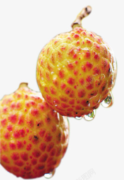 新鲜荔枝素材