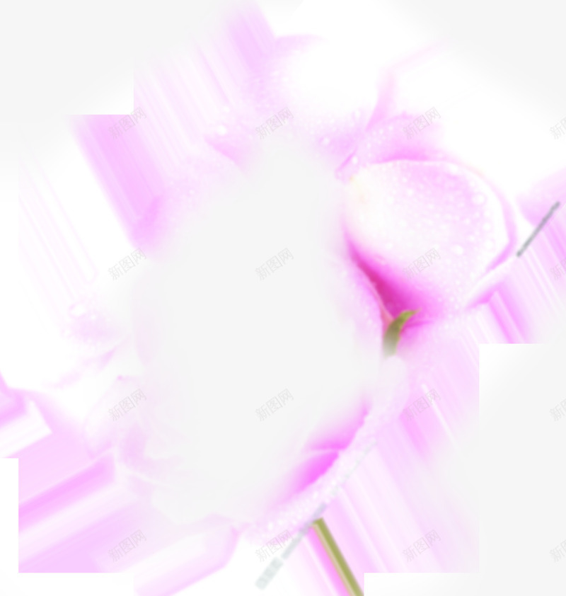 水珠紫色花朵png免抠素材_88icon https://88icon.com 图片 水珠 紫色 花朵