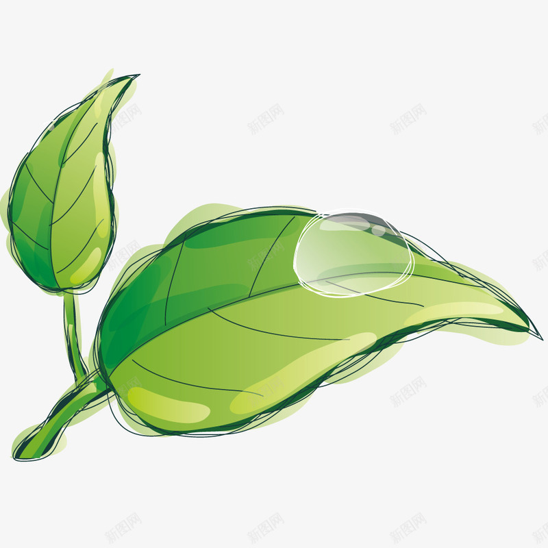 树叶上的水滴矢量图ai免抠素材_88icon https://88icon.com 手绘 拟物化 插画 树叶 植物 水滴 矢量图