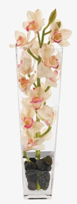 粉红色花卉装饰玻璃花瓶软装摆设素材