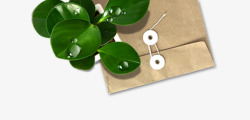 文件袋夹子叶子文件袋上绿色叶子高清图片