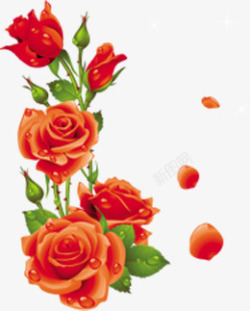 水珠玫瑰手绘花朵素材