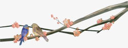 花枝花朵鸟中国风漂浮古风素素材