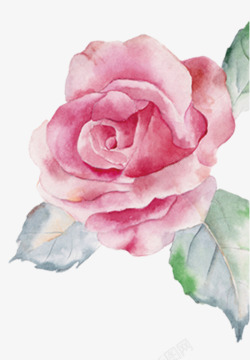 粉红色手绘玫瑰花装饰图案素材